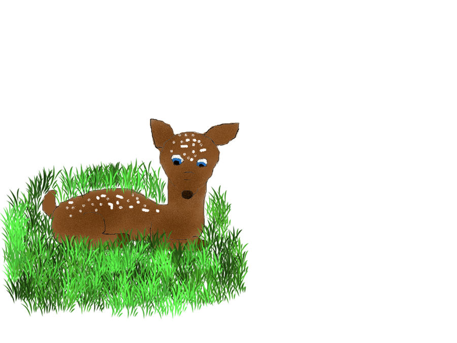 Deer baby