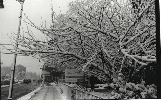 MassArt- Snow