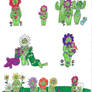 SSU Subraces: Zinnia Flowerettes