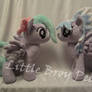 my little pony cloudchaser and flitter plush