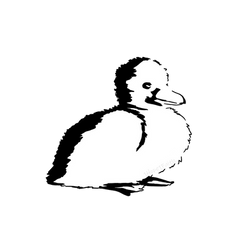 Black and White Stylized Duckling
