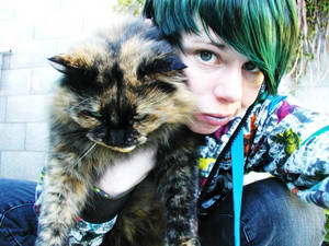 blue haired cat lover