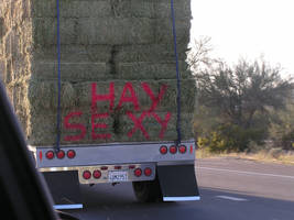 Hay Sexy