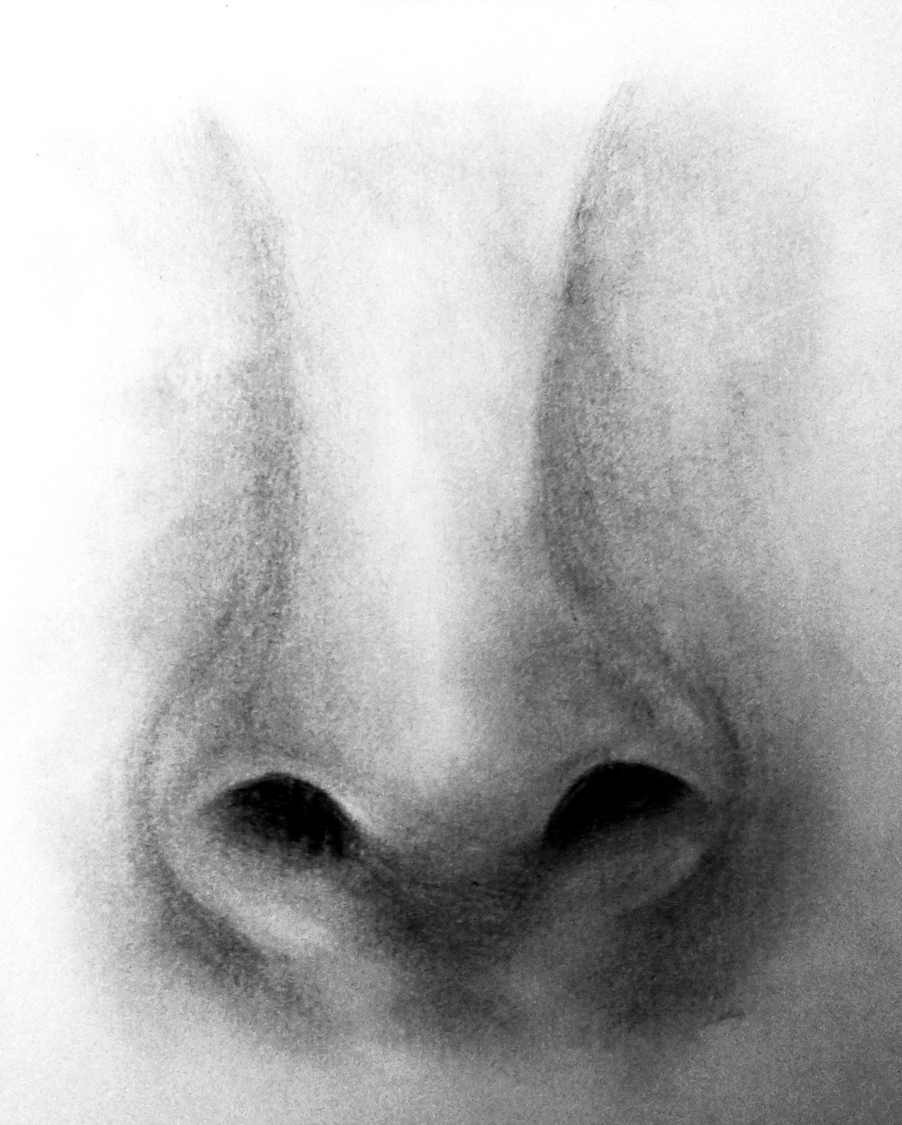 Nose practice drawing