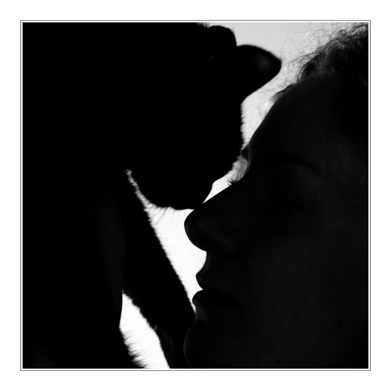 ZOE - Cat Love -