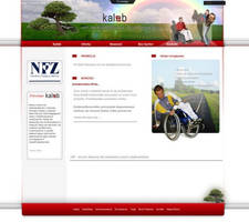 Kaleb website