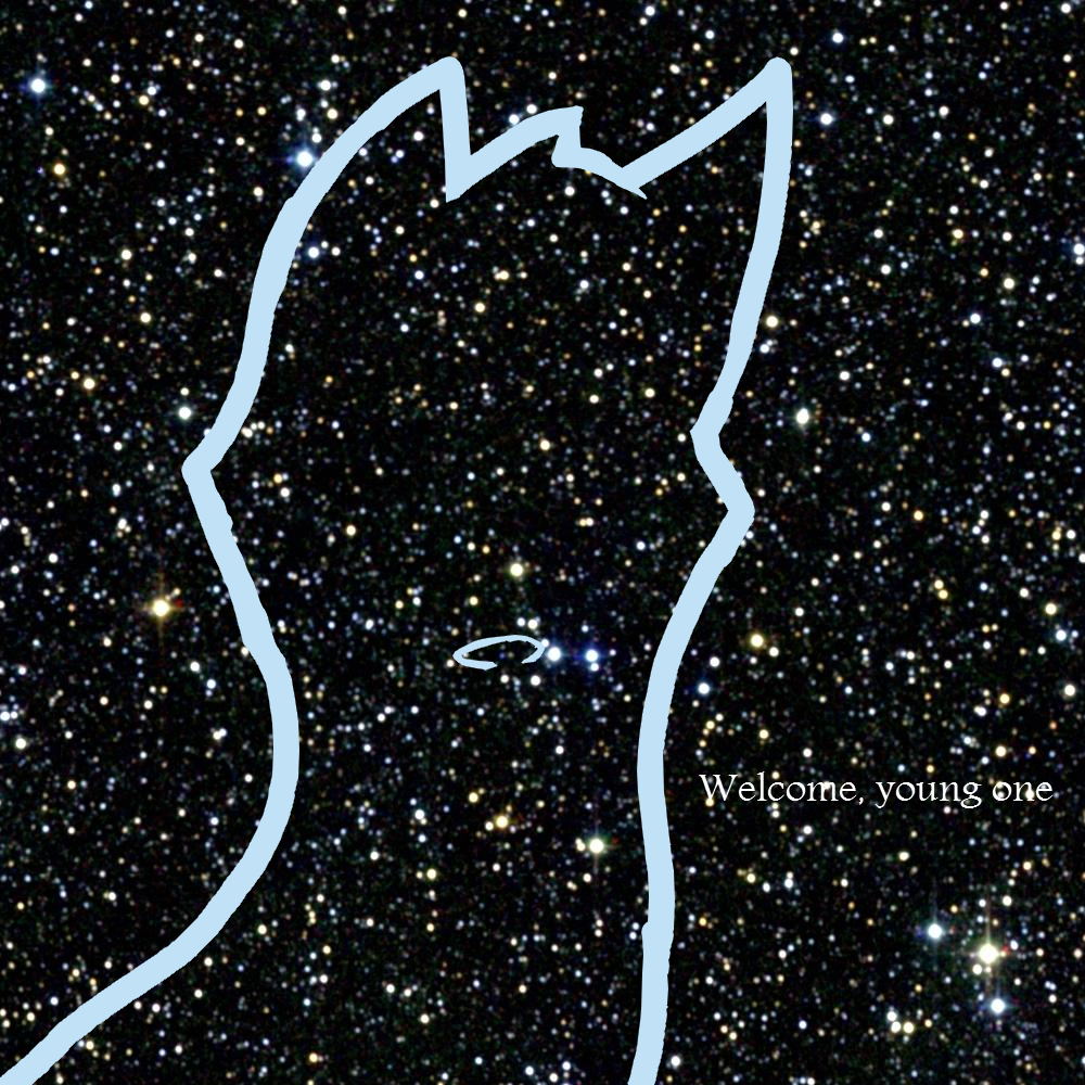 Welcome to StarClan