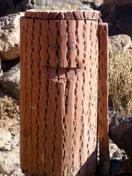 Salt Flats - Happy cactus bin