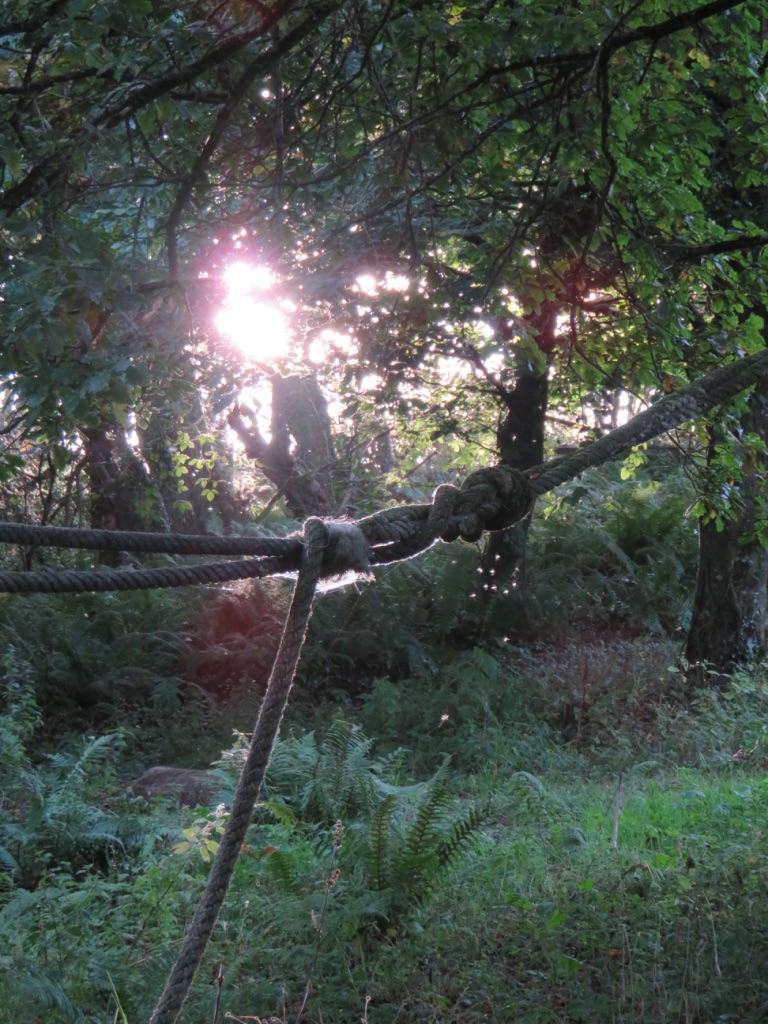 Garden Rope Swing