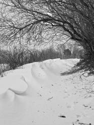 Snow bank