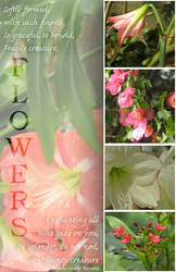 Flowers page layout
