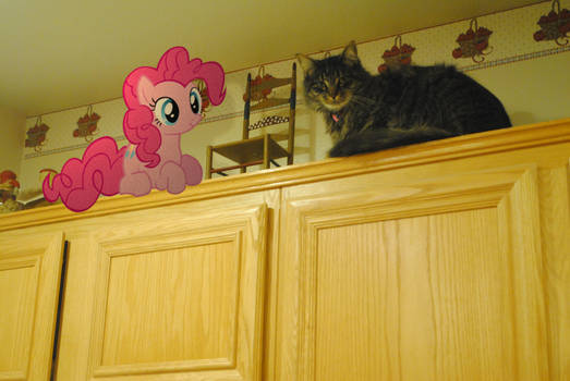 Pinkie the Cat