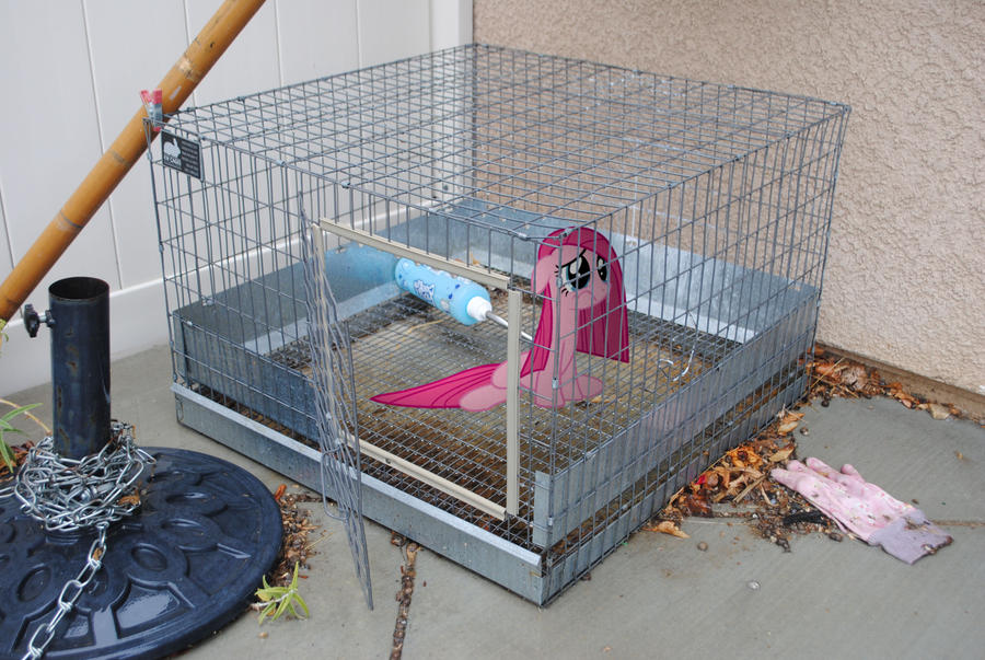 Pinkie in a Cage