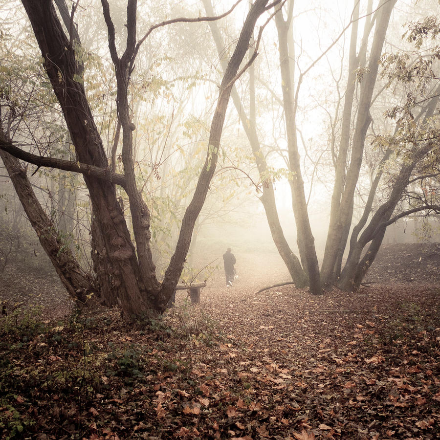 Misty Sunday