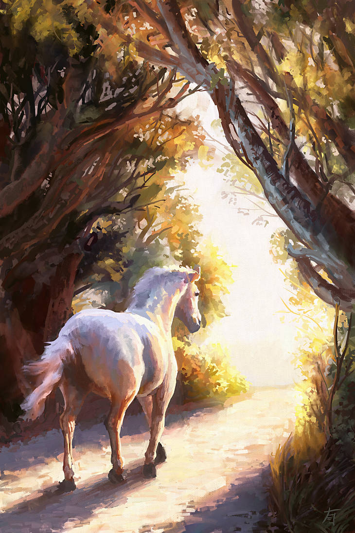 Back from Adventure by arisuonpaa
