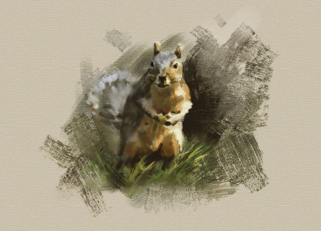 Squirrel by arisuonpaa