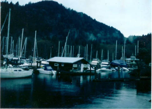 Marina in Drizzle