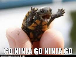 Go Ninja Go Ninja Go!!!