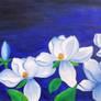 Blue Magnolias