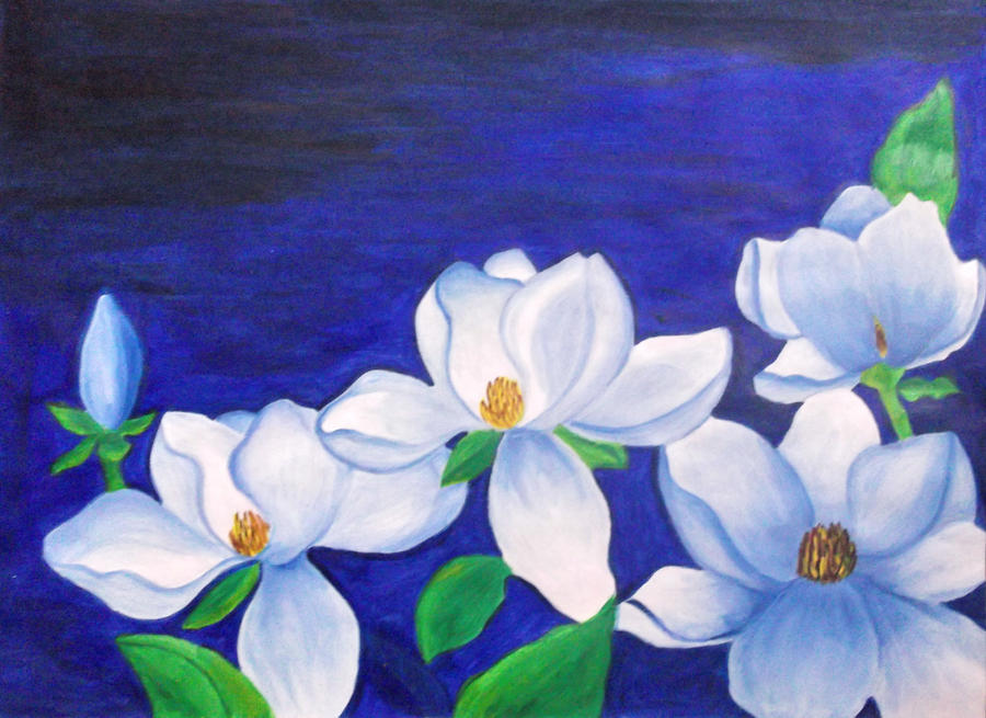 Blue Magnolias