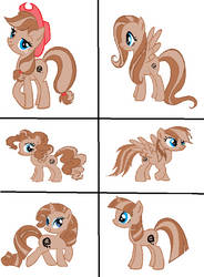 me as the mane 6