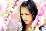 In blossom by ideea