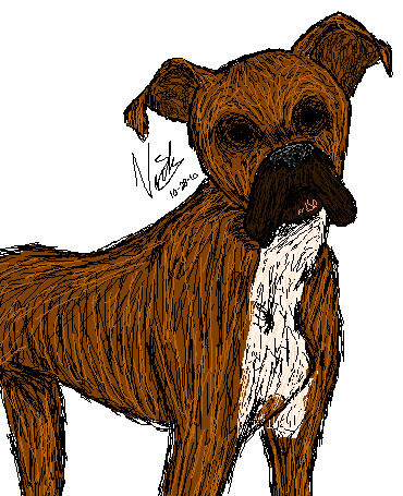 Deviantart Boxer Dog Boxer by bassetluver on DeviantArt
