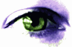 eye 2