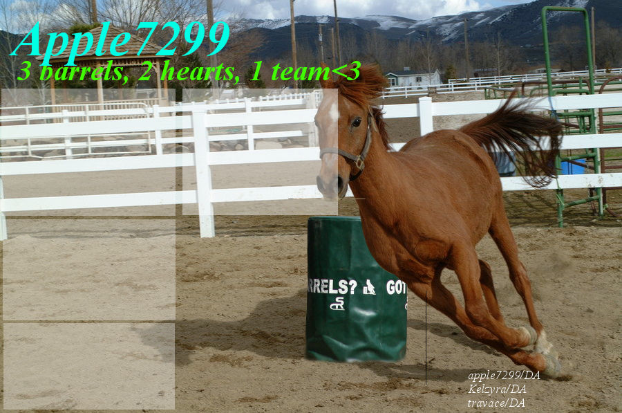 Barrel Racing Layout by ViviBlithie on DeviantArt