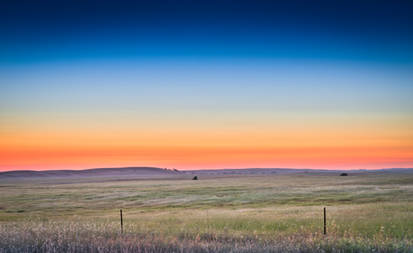 Field at Twilight