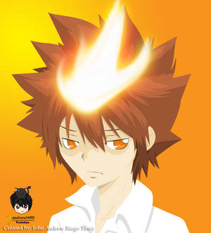 Tsunayoshi Sawada of Hitman Reborn