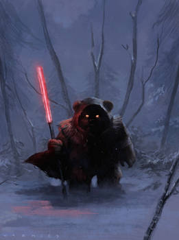 Darth Ewok