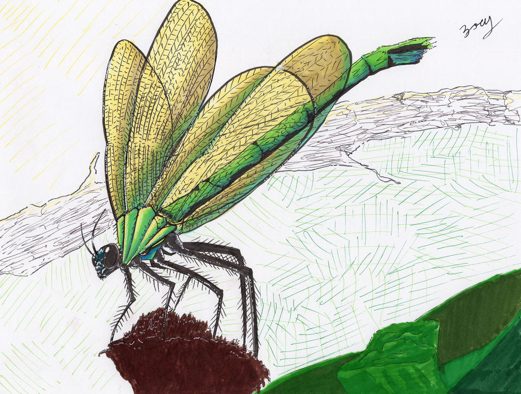 Dragonfly Deviantart Dragonfly by DewDragonDesigns on DeviantArt