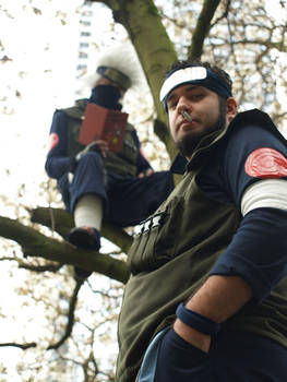 Kakashi in a tree with Asuma