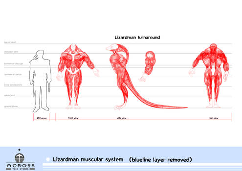 Lizardman muscular system(blueline layer )removed