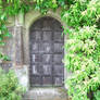 Old Door Stock 1