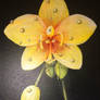 Yellow Orchid