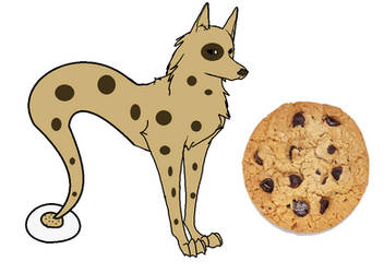 Chocolate Chip Cookie Themed DGD (open adoptable)