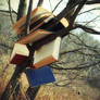 Reading Tree I