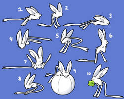 chatlands jerboa pose set