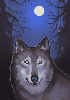 Night Wolf