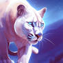 Moonlit Hunter