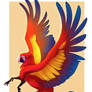 Scarlet Macaw Gryphon