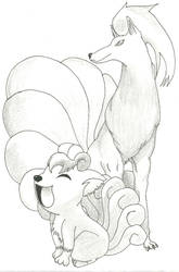 Ninetales and Vulpix