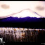 Mt Fuji Beauty