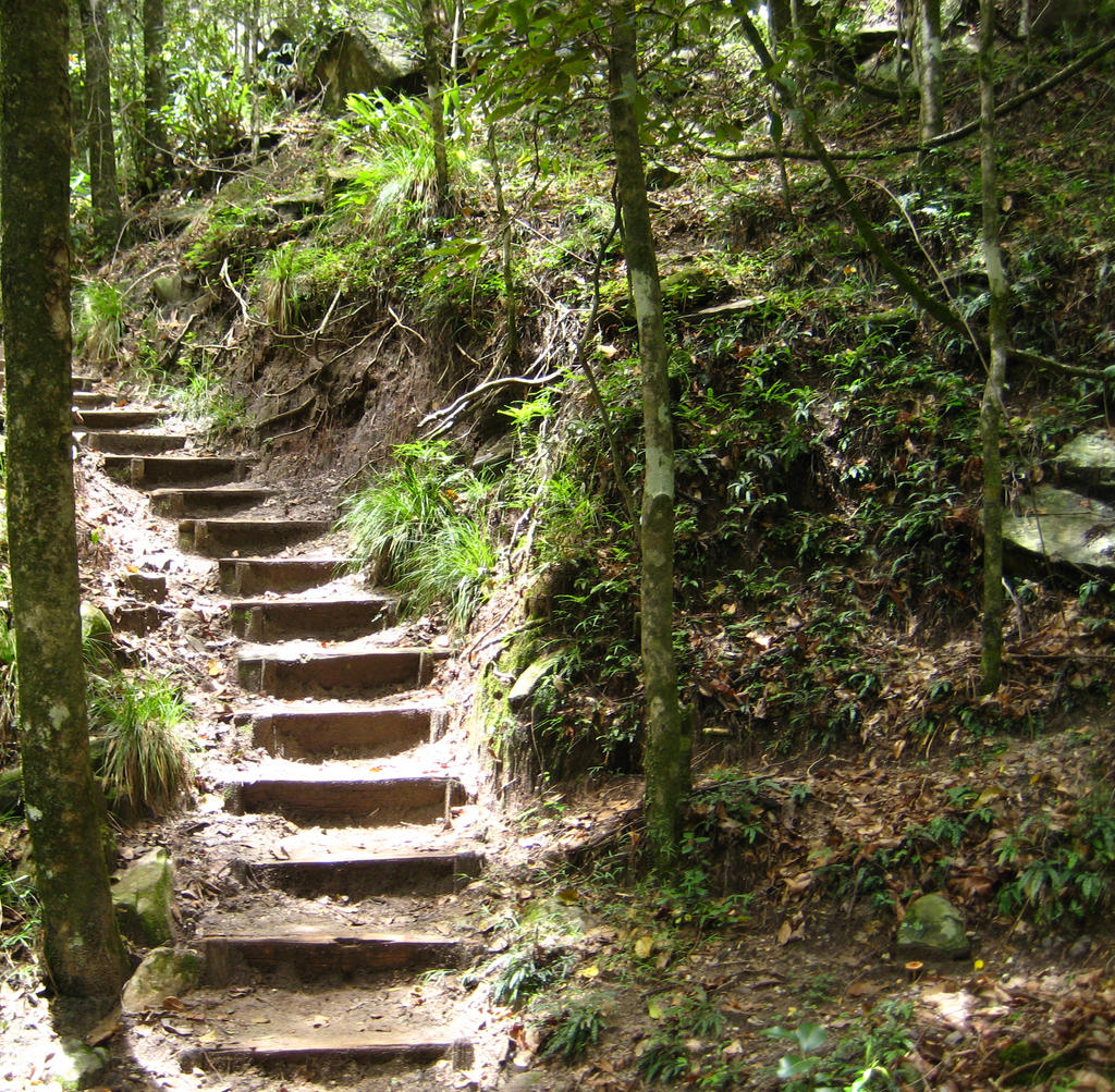 Stock : natures steps i guess? by Deaths-stock