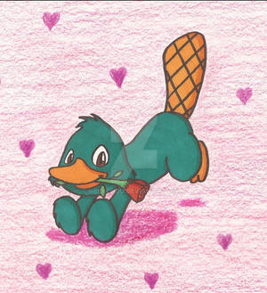 Perry Love