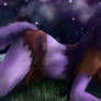 Alpha Wolf