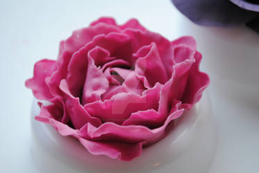 Sugar-paste peony