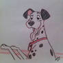 Pongo